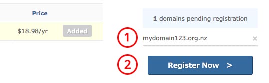 Register Domain step 3